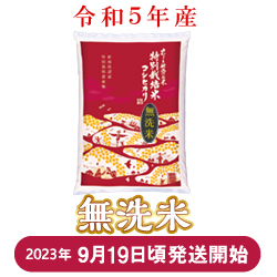 令和5年度9月新米！コシヒカリ！！送料込み - 米