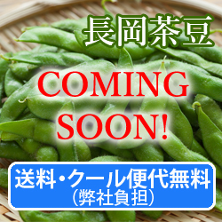 EN[֑㖳iЕSj@}yz1.2Kg(300g×4)@8{