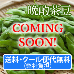 EN[֑㖳iЕSj@}yӎޒz1.2Kg(300g×4)@8{`
