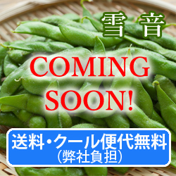 EN[֑㖳iЕSj@}yቹz1.2Kg(300g×4)@9{`{