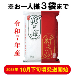 ߘa7NY V VViāj@(5kg)