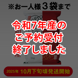 ߘa7NY V VViāj@(5kg)