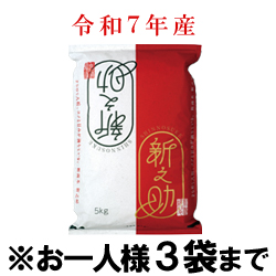 ߘa7NY V VViāj@(5kg)